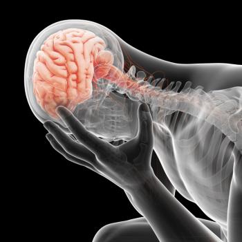anatomical-illustration-of-brain-through-skull-of-man-with-depressed-demeanor